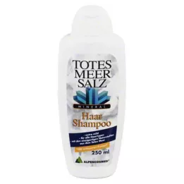 TOTES MEER SALZ Shampoing capillaire, 250 ml