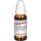 ALFALFA Dilution D 6, 20 ml