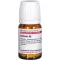 Berberis D 8, 80 pc