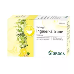 SIDROGA Sachets filtres pour thé au gingembre et au citron Wellness, 20 x 2,0 g