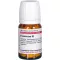 Foeniculum D 2, 80 pc