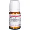 HYPERICUM D 8, 80 pc