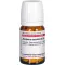 Juniperus Comm D 4, 80 pc