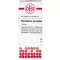 PHOSPHORUS AMORPHUS D 10 comprimés, 80 pc