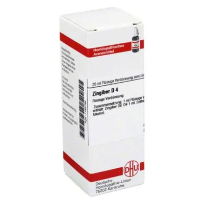 ZINGIBER Dilution D4, 20 ml