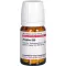 ZINGIBER D 30 comprimés, 80 pc