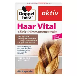 DOPPELHERZ Capsules Hair Vital+Zinc+Extrait de millet, 60 pièces