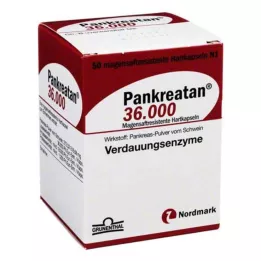 PANKREATAN 36 000 gélules gastro-résistantes, 50 pièces