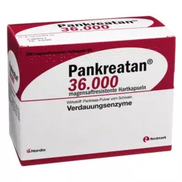 PANKREATAN 36 000 gélules gastro-résistantes, 200 pièces