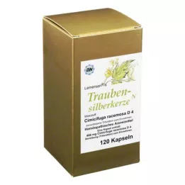 TRAUBENSILBERKERZE Kapseln, 120 pc