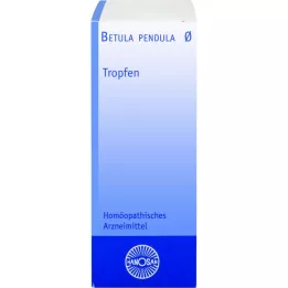 BETULA PENDULA Teinture mère Hanosan, 20 ml