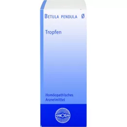 BETULA PENDULA Teinture mère Hanosan, 50 ml
