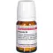 PROPOLIS D 4 comprimés, 80 heures