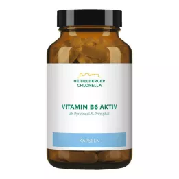 VITAMIN GÉLULES B6, 120 unités