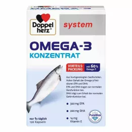 DOPPELHERZ Capsules système concentré doméga-3, 120 pcs