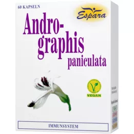 ANDROGRAPHIS Capsules paniculata, 60 pc
