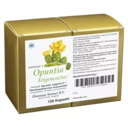 OPUNTIA FEIGENCACTUS Kapseln, 120 pc