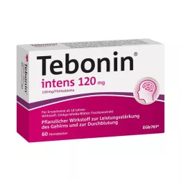 TEBONIN Intens 120 mg comprimés pelliculés, 60 pcs