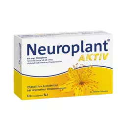 NEUROPLANT comprimés pelliculés actifs, 100 pcs