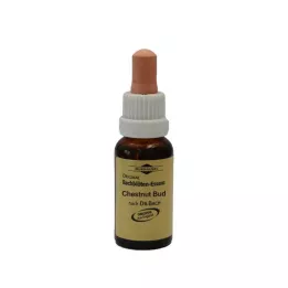 BACHBLÜTEN gouttes de bourgeon de châtaigne Murnauer, 20 ml