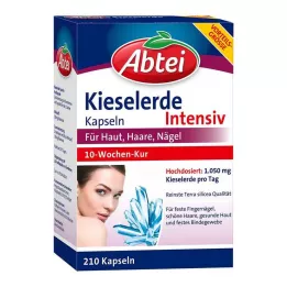 ABTEI Capsules de silice, 210 pièces