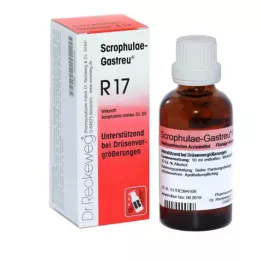 SCROPHULAE-Mélange Gastreu R17, 22 ml