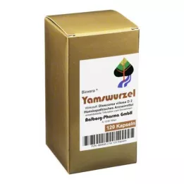 YAMSWURZEL Kapseln, 120 pc