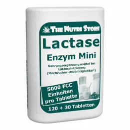 LACTASE 5 000 mini-comprimés denzymes FCC dans un distributeur doseur, 120 |2| pièces |2|