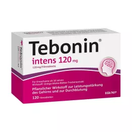 TEBONIN Intens 120 mg comprimés pelliculés, 120 pcs