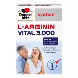 DOPPELHERZ Gélules du système L-Arginine Vital 3 000, 120 unités