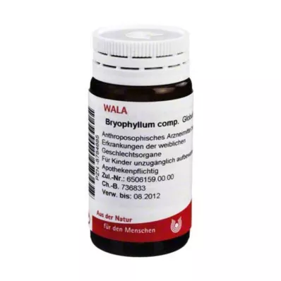 BRYOPHYLLUM COMP.Globules, 20 g BRYOPHYLLUM COMP.Globules, 20 g