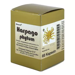 HARPAGOPHYTUM BIOXERA Capsules, 60 pc