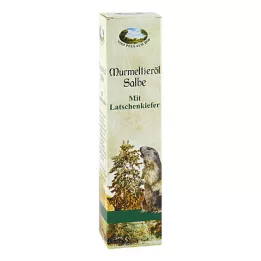 MURMELTIERÖL Pommade, 200 ml