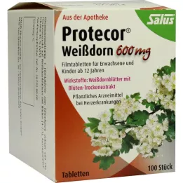 PROTECOR Comprimés de films de vent 600 mg, 100 pc
