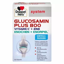DOPPELHERZ Gélules du système Glucosamine Plus 800, 120 unités