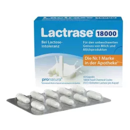 LACTRASE 18 000 FCC gélules, 40 pièces