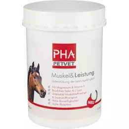 PHA Muscle &amp; Performance F &amp; R Chevaux, 850 g