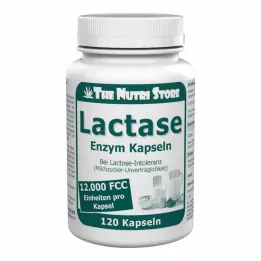 LACTASE 12 000 FCC Capsules enzymatiques, 120 pièces