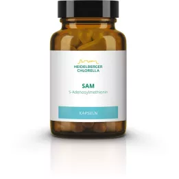 SAM S-ADENOSYLMETHIONIN gélules, 60 pièces