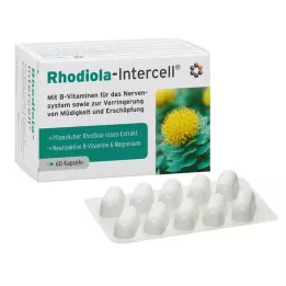 RHODIOLA-INTERCELL gélules, 60 pièces