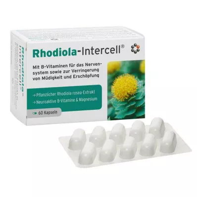 RHODIOLA-INTERCELL gélules, 60 pièces RHODIOLA-INTERCELL gélules, 60 pièces