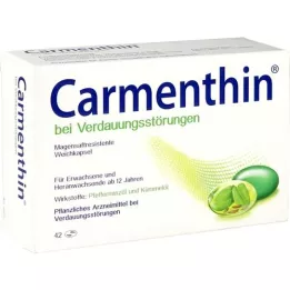 CARMENTHIN Dans le cas des troubles digestifs Msr.Werbkaps., 42 pc