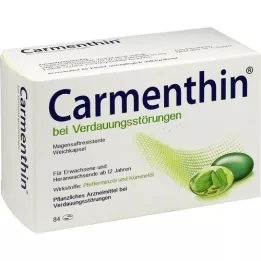 CARMENTHIN Dans le cas des troubles digestifs MSR.Werbkaps., 84 pc