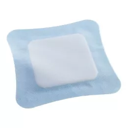 VLIWASORB Pro superabsorbant comp. stérile 22x22 cm, 10 pcs