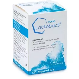 LACTOBACT Capsules résistantes gastriques à forte, 120 pc