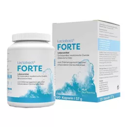 LACTOBACT Forte capsules gastro-résistantes, 120 pcs