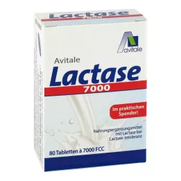 LACTASE 7 000 FCC comprimés dans un distributeur, 80 pièces