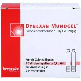 DYNEXAN Ampoules cylindriques de gel buccal, 2X1,7 g