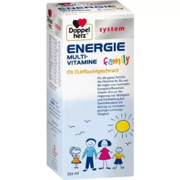 Doppelherz Système de famille dénergie liquide, 250 ml