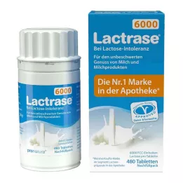 LACTRASE 6 000 FCC Recharge pour distributeur Tbl.Click, 480 pièces